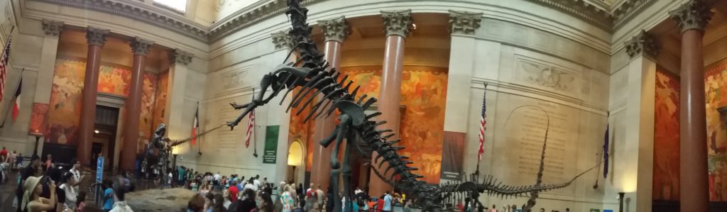 Dinosaurio en la entrada del museo. El museo tiene una planta con una de las colecciones de dinosaurios mas grandes del mundo (la de Bruselas es mas grande y mas chula), pero totalmente desaconsejado a niños menores de 12 años, porque no se van a enterar de la mitad.
